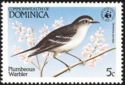 Plumbeous Warbler (Dendroica plumbea)